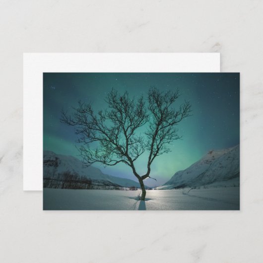 Northern Lights Tree Kaart (Voorkant / Achterkant)