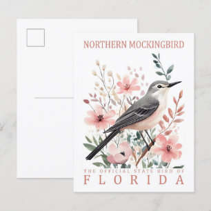 Northern Mockingbird Bird of Florida Verenigde Sta Briefkaart