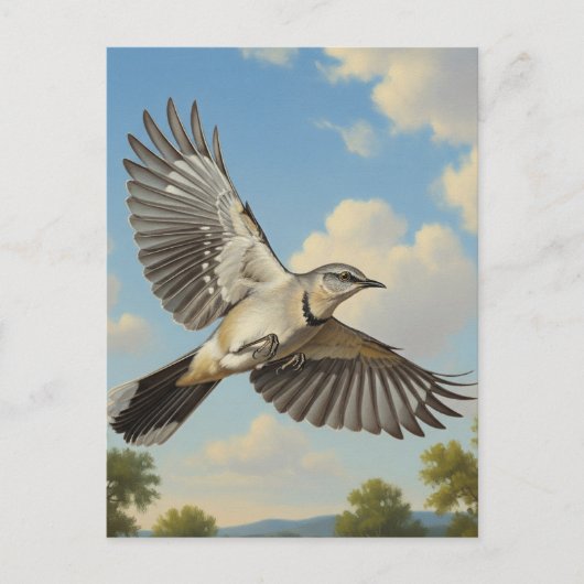 Northern Mockingbird in flight Briefkaart (Voorkant)