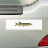 Northern Pike Art Bumpersticker (Op auto)