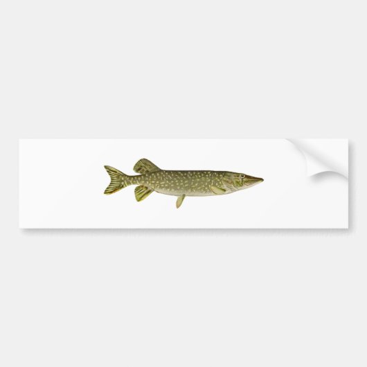 Northern Pike Art Bumpersticker (Voorkant)