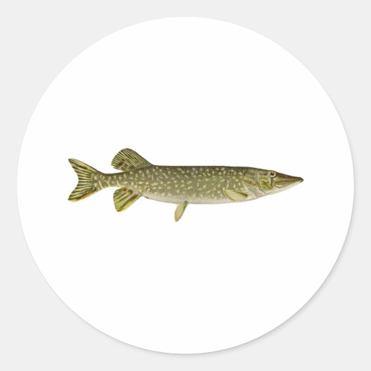 Northern Pike Art Ronde Sticker (Voorkant)