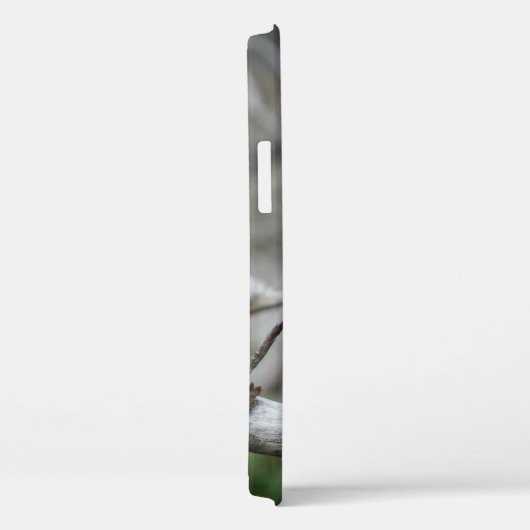 Northern Pygmy Owl iPhone 12 Pro Coque (Verso / Droite)