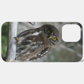 Northern Pygmy Owl iPhone 12 Pro Max Coque (Verso / Droite)