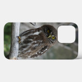 Northern Pygmy Owl iPhone 13 Pro Coque (Verso (horizontal))