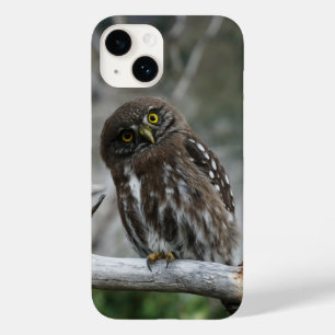 Northern Pygmy Owl iPhone 14 Hoesje