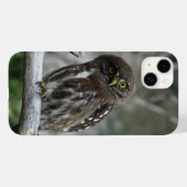 Northern Pygmy Owl iPhone 14 Plus Coque (Verso (horizontal))