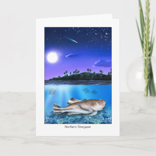Northern Stargazer Penser à votre carte
