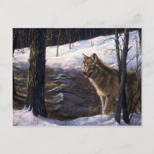 Northern Timber Wolf Briefkaart