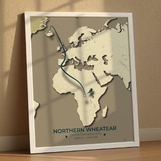 Northern Wheatear Migratie Kaart - Minimalistisch Poster