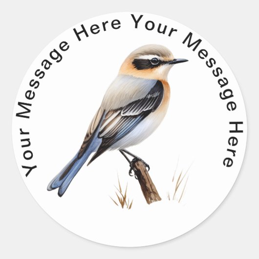 Northern Wheatear Ronde Sticker (Voorkant)