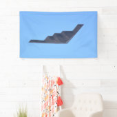 Northrop Grumman B-2 Spirit Banner (Insitu)