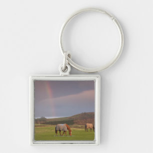 Northumberland, Engeland Sleutelhanger