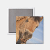 Northumberland, England 2 Magneet (Voorkant / Achterkant)