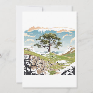 Northumberland National Park Sycamore Gap Tree Kaart