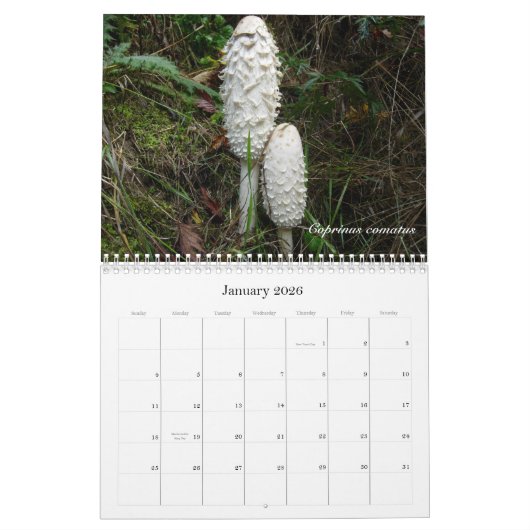 Northwest Mushroom Calendar 2010 Kalender (Jan 2026)