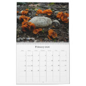 Northwest Mushroom Calendar 2010 Kalender (Feb 2026)