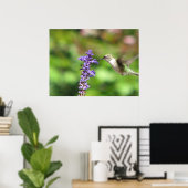 Northwood Hummingbird Poster (Thuiskantoor)