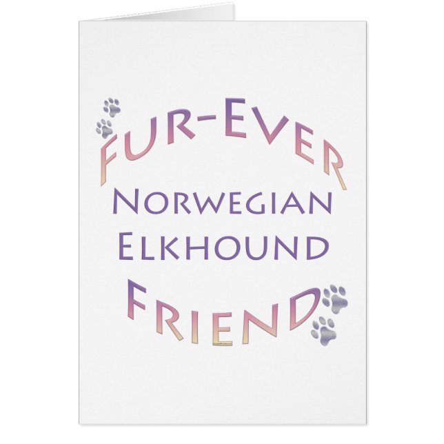 Norvégien Elkhound Furever (Devant)