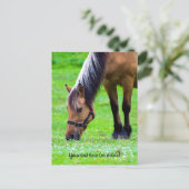 Norwegian Fjord Horse Postcard Briefkaart (Staand voorkant)
