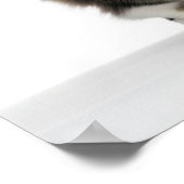 Norwegian Forest Cat Art Poster (Hoek)