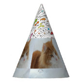 Norwegian_Forest_Cat Feesthoedjes (Links)