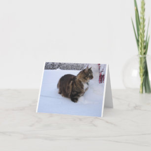 norwegian forest cat in snow bedankkaart