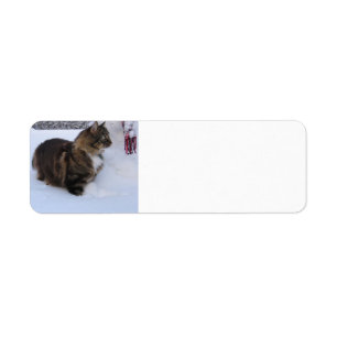 norwegian forest cat in snow etiket