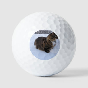 norwegian forest cat in snow golfballen