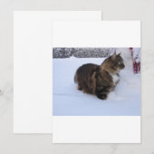 norwegian forest cat in snow menu (Voorkant / Achterkant)
