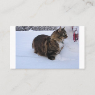 norwegian forest cat in snow plaatskaartje