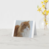 Norwegian_Forest_Cat Kaart (Gele Bloem)