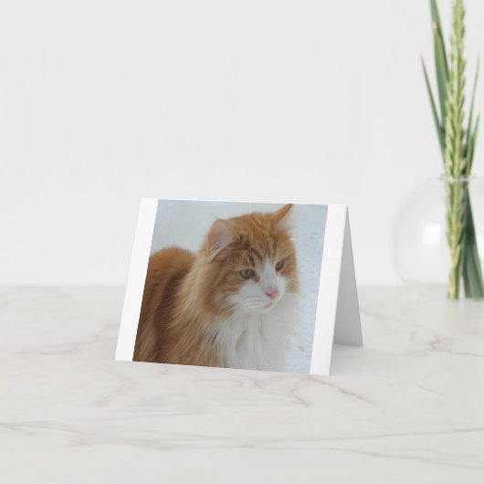 Norwegian_Forest_Cat Kaart (Voorkant)