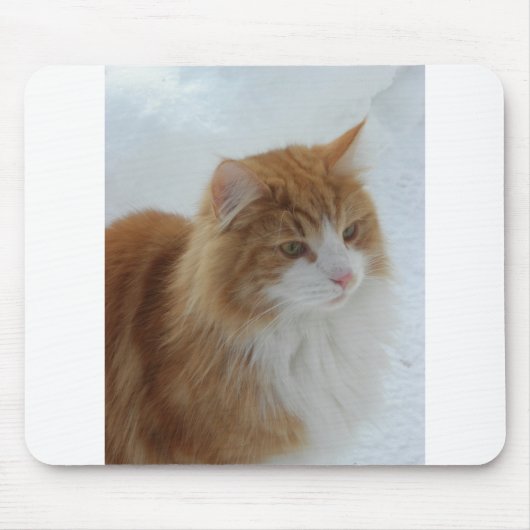 Norwegian_Forest_Cat Muismat (Voorkant)