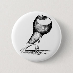 Norwich Cropper 1980 Ronde Button 5,7 Cm