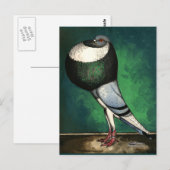 Norwich Cropper Blue Pied Briefkaart (Voorkant / Achterkant)