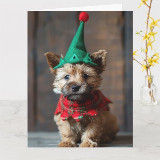 Norwich Terrier Elf Puppy Kerst Kaart (Gele Bloem)