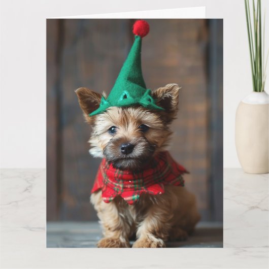Norwich Terrier Elf Puppy Kerst Kaart (Voorkant)