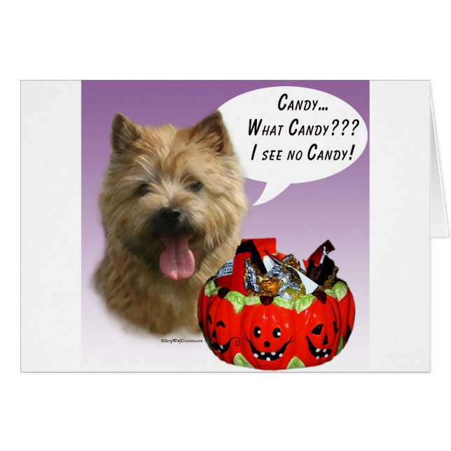 Norwich Terrier Halloween Snoep (Voorkant Horizontaal)
