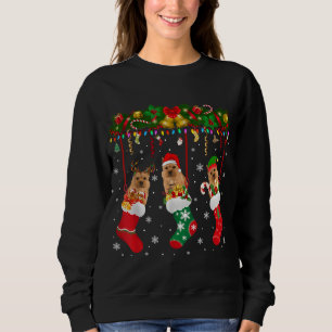 Norwich Terrier in Sock Xmas Reindeer Santa ELF do Trui