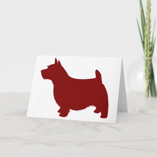 Norwich Terrier Kaart (Voorkant)