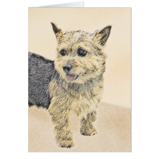 Norwich Terrier Peinture - Cute Original Chien Art (Devant)
