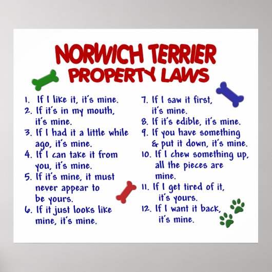 NORWICH TERRIER PL2 POSTER (Voorkant)