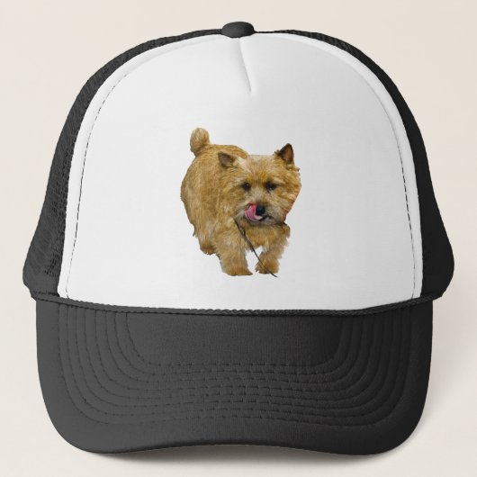 Norwich Terrier Trucker Pet (Voorkant)