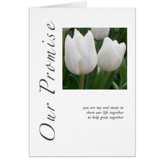 Nos tulipes de promesse