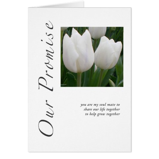 Nos tulipes de promesse (Devant)