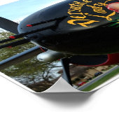 Nose Art Poster (Hoek)