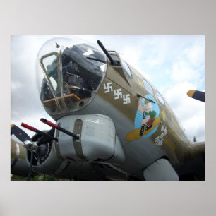 Nose Art Poster