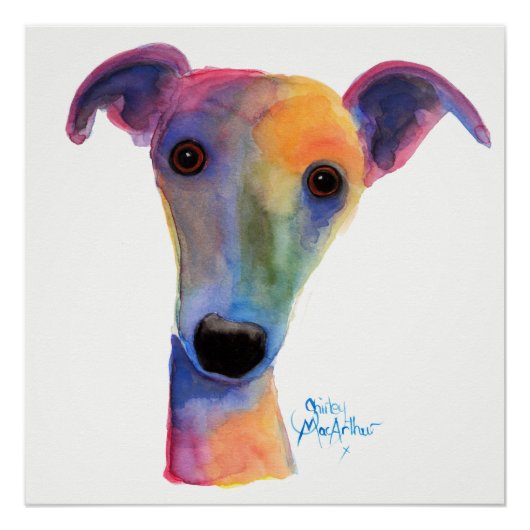 Nosey Dog ' Pansy ' van Shirley MacArthur Perfect Poster (Voorkant)