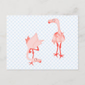 Nosey flamingo briefkaart (Voorkant)